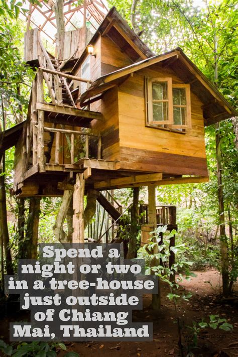 Treehouses For Grown Ups Luxury Tree Houses Tree House