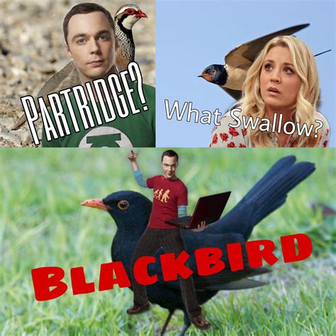 1541 Best Blackbird Images On Pholder Aviation Birdpics And Fivenightsatfreddys
