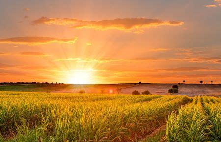 My favorite season of the year is summer because of the warm weather. गर्मी का मौसम पर निबंध हिंदी में (Essay on Summer Season ...