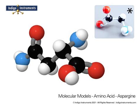 20 Amino Acids Molecular Model Kit Molymod Hybrid Style