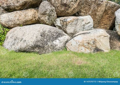 Closeup Group Of Big Rock For Decorate With Green Grass In The Garden