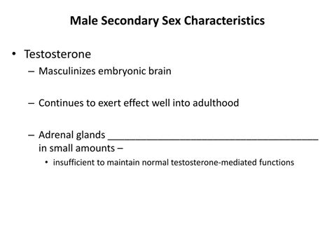 Ppt Hormonal Regulation Of Male Reproductive Function Powerpoint