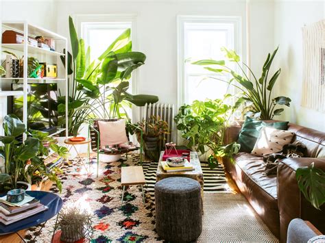 10 Inspiring Living Room Plant Ideas To Bring Your Space To Life