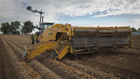 6500 Series Windrowers Fast High Capacity Potato Harvesting Machines