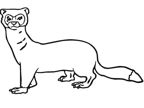 Weasel Coloring Pages Free Printable Coloring Pages For Kids