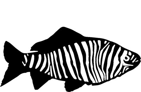 Zebra Fish Clipart 10 Free Cliparts Download Images On Clipground 2024