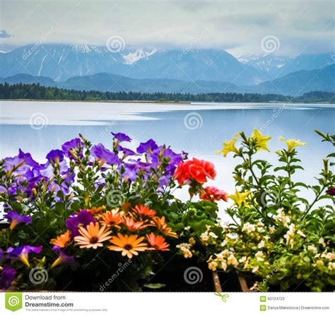 Scenic Landscape With Lake And Flowers In Bavaria Stock Image Image