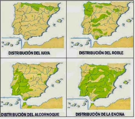 Lazos En El Tiempo Actividades Sobre Las Regiones Biogeográficas En España