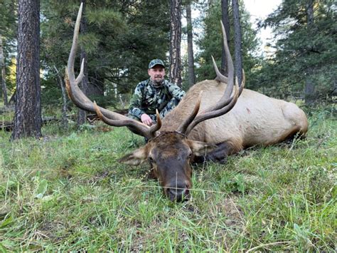 Units 34 And 36 New Mexico Elk Hunts Includes Unit Wide Voucher