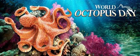 Wrap Your Arms Around World Octopus Day Octopus Octopus Art World