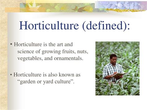 Ppt What Is Horticulture Powerpoint Presentation Free Download Id