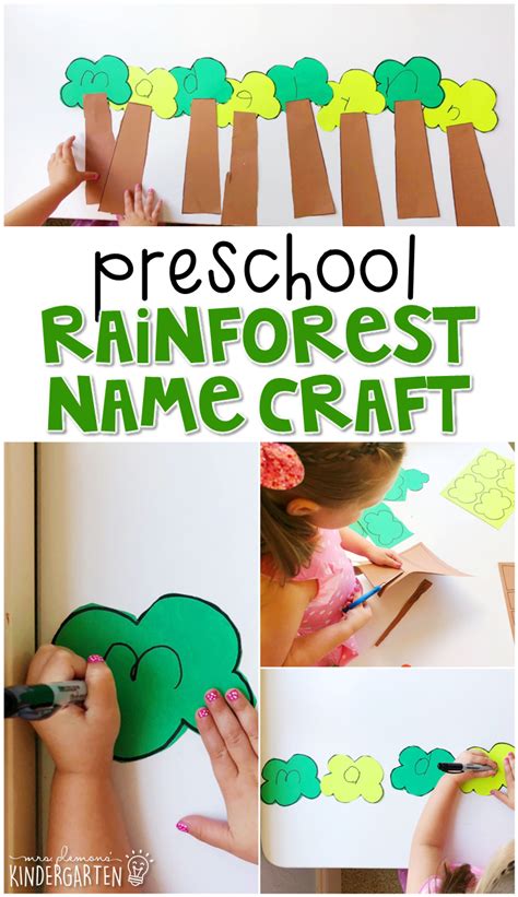 Preschool Rainforest Mrs Plemons Kindergarten Rainforest