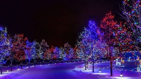 Christmas Lights Snow Wallpapers Top Free Christmas Lights Snow