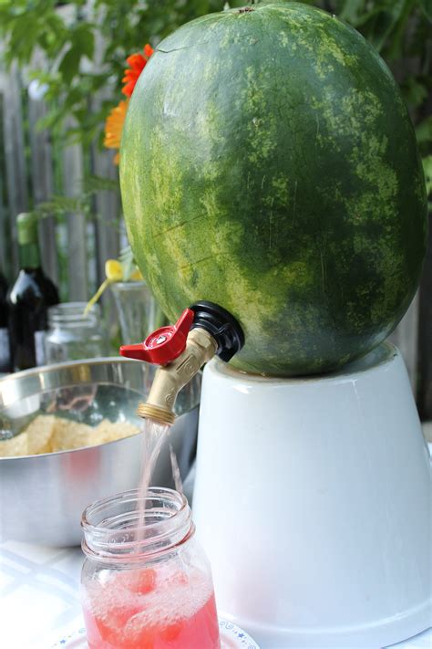 tap  watermelon      watermelon keg  steps  pictures instructables