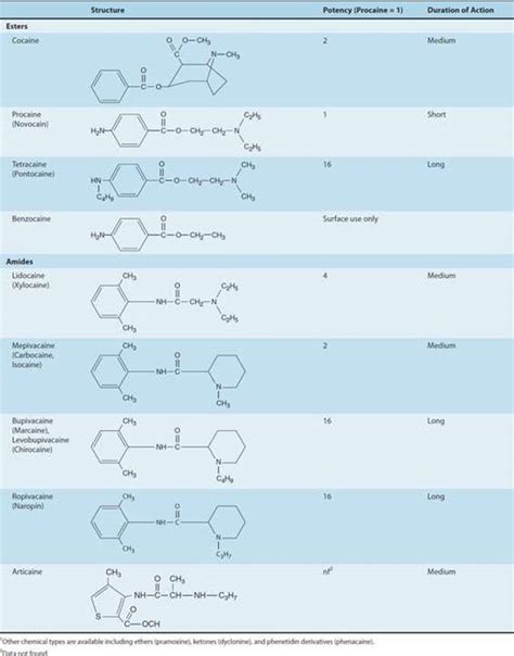 Local Anesthetics Basic And Clinical Pharmacology 13th Ed