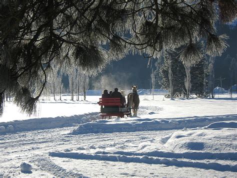 Winter Scene Simply Marvelous Horse World