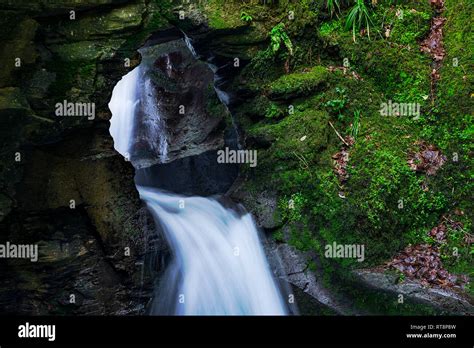 St Nectans Glen And Waterfall Is A Stones Throw From Tintagel In