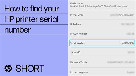 How To Find Your Hp Printer Serial Number Hpsupport Shorts Youtube