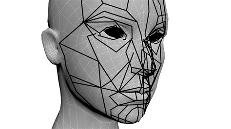 The Golden Ratio In 3d Human Face Modeling Valentin Schwind