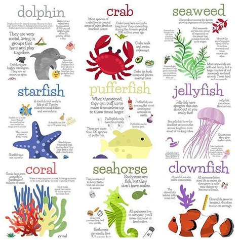Ocean Life Printable Posters Ocean Animals Preschool Ocean Theme