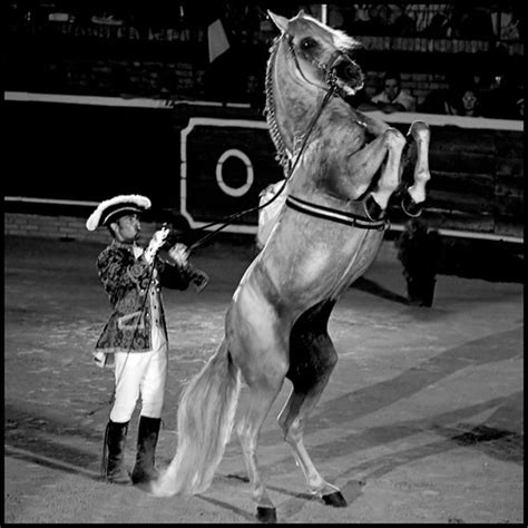 Caballo A Dos Patas Ii Vanbreack Flickr