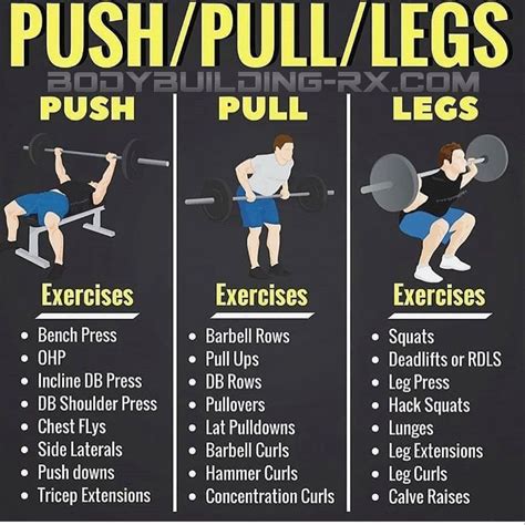 Push Pull Leg Exercises Push Pull Legs Workout Push Workout