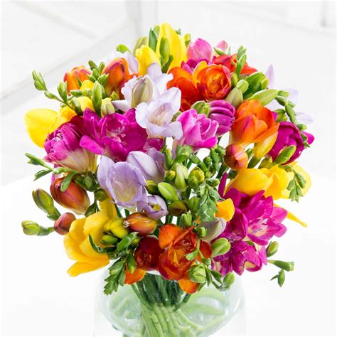 Keep It Simple With This One Flower Bouquet Of Simply Freesia