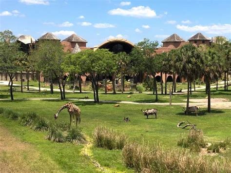 Disney Animal Kingdom Lodge Review Walt Disney World Resort Orlando
