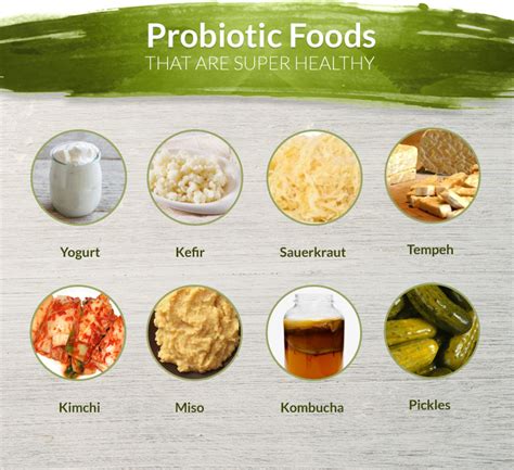 Why You Should Make Friends With Probiotics For A Healthy Gut