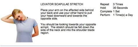 best chiropractor approved neck stretches