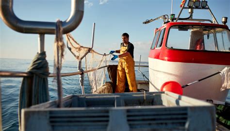 Defra Announces Eu Uk Fishing Deal Worth M For