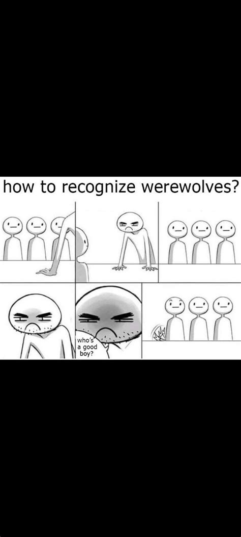 The Best Werewolf Memes Memedroid