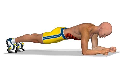 Bauchmuskeln Trainieren Plank Youtube