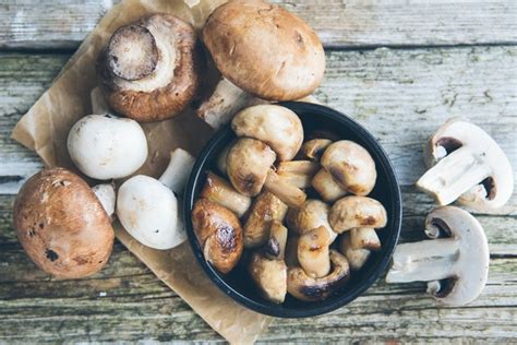 Mushroom Identification Your Guide To Edible Mushrooms Healthbbc