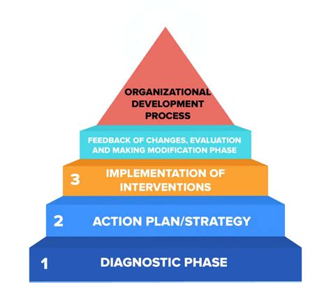 What Is Organisational Development Process Meaning Importance