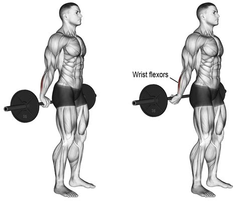 How To Wrist Curl Behind Back Forearm Workout