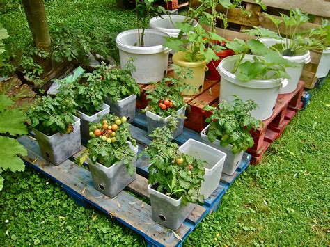 Containers For Gardening
