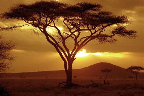 Colour Inspiration African Sunsets Avance Creative Visions