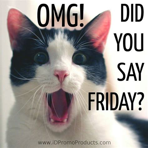 Omg Did You Say Friday Friday Quotes Funny Friday Humor Happy