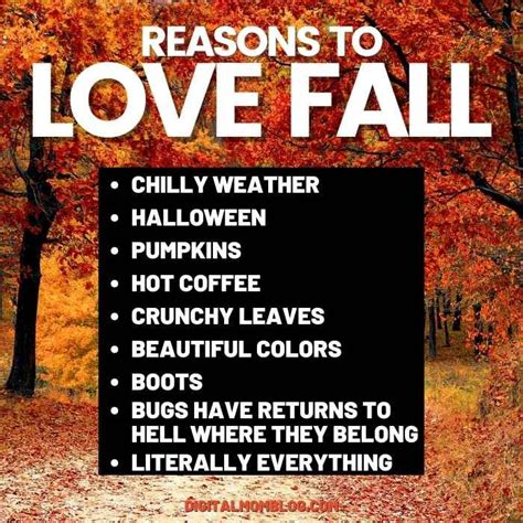 Funny Fall Memes 2022 For Pumpkin Loving Autumn Lovers Fall Memes