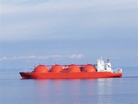 Anadarko Mulls 16 Lng Charters For Mozambique