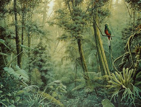 Spirit Of The Rainforest Painting By Eric Wilson