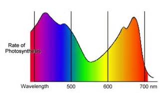Diagrammatic representation of the spectrum of visible light, from 