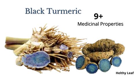 Black Turmeric Benefits Ways To Fight Diseases Helthy Leaf