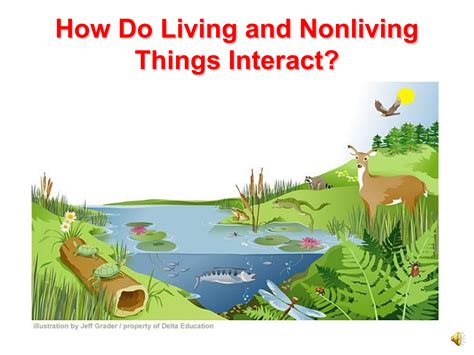 How Do Living And Nonliving Things Interact Powerpoint