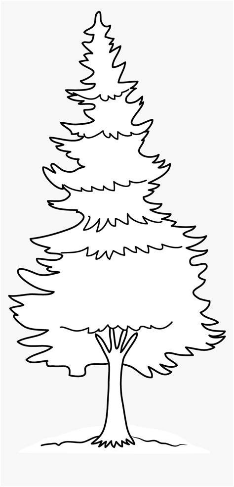 Pine Trees Coloring Pages