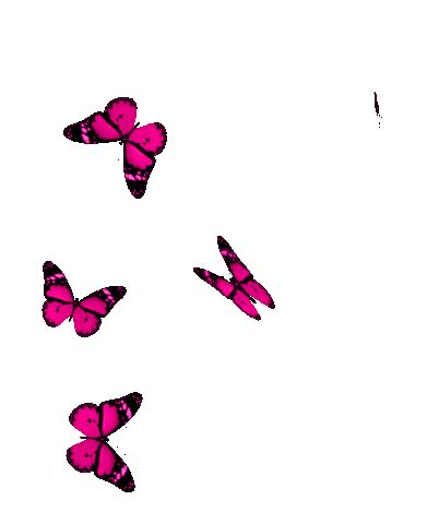 Гифки бабочки для презентации на прозрачном фоне фото