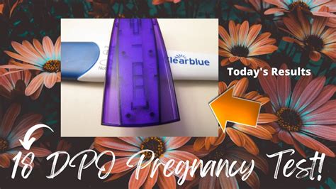 18 Dpo Pregnancy Test Line Progression Clear Blue And Walmart Cheapie