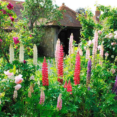 The cottage garden is the working man's garden, it's style dictated by reasons other than the garden plots were only as large as necessary to meet the needs of the tenants, and the plants. Cottage Garden Seed Collection