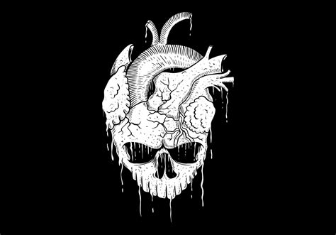 Fox Skull Drawing ~ Skull Pirate Hand Drawing Vector 540564 Vector Art